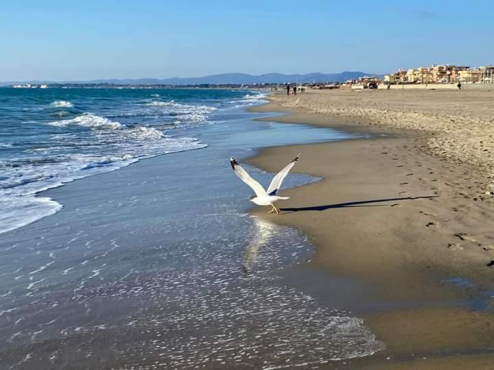 La Bouganville Passoscuro Εξωτερικό φωτογραφία